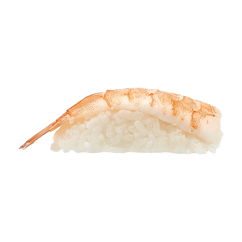 nigiri sushi crevette